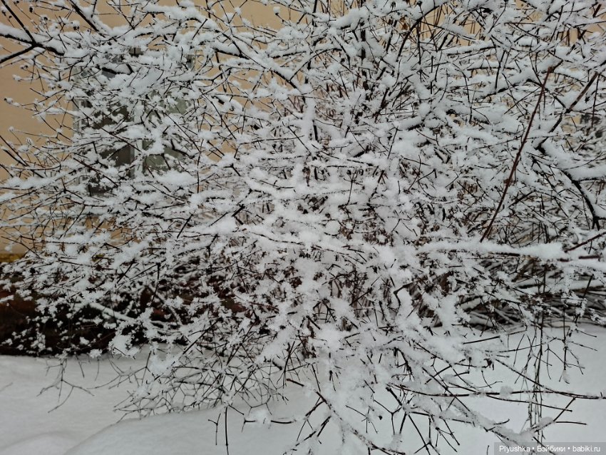 Снова снегопад — Домашние фото авторских игрушек: Тедди (фото 8)