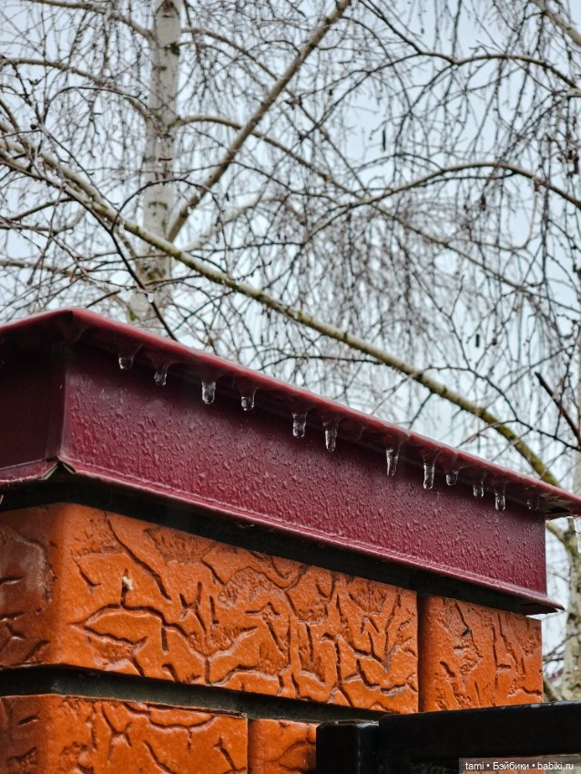 Рыжее солнышко и наш февраль