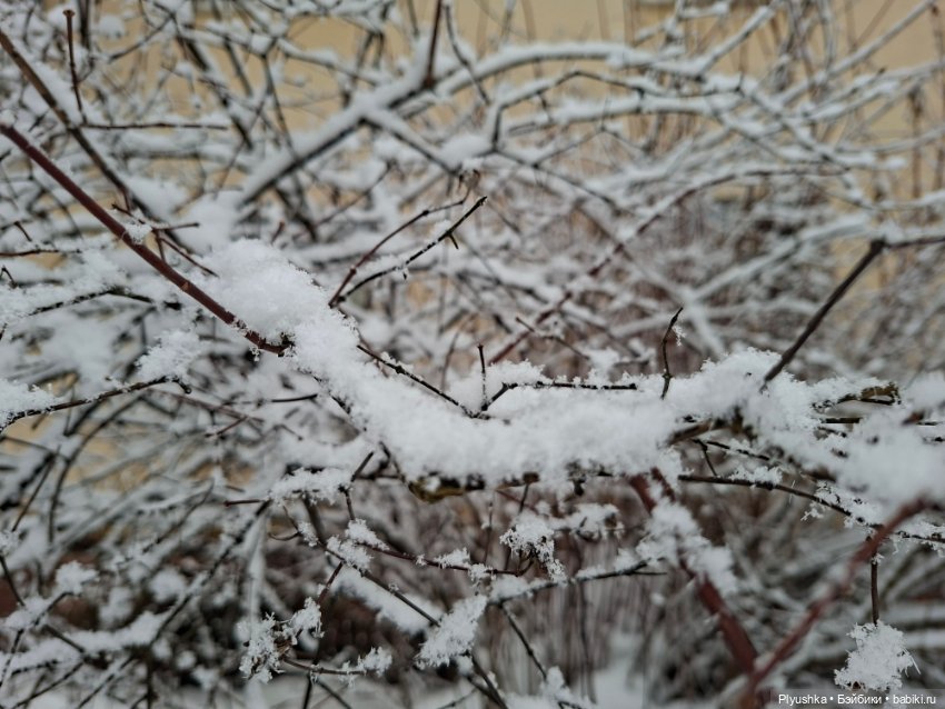 Снова снегопад — Домашние фото авторских игрушек: Тедди (фото 9)