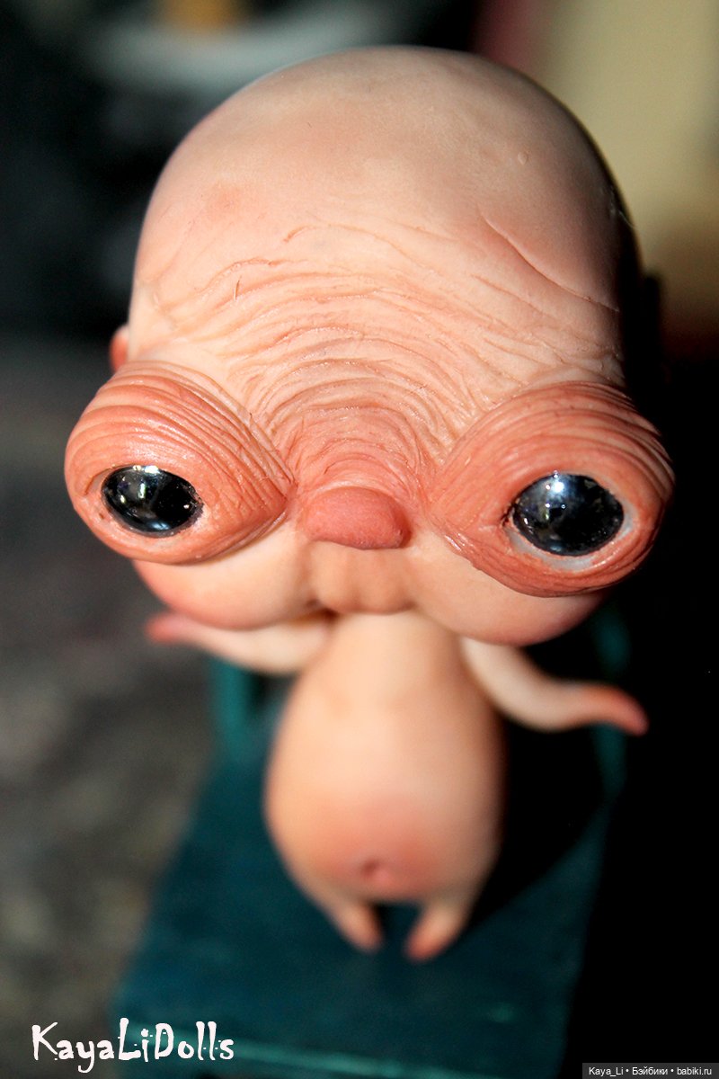 Любимчик Пончик — Игрушки в смешанной технике (мех и глина): Арт (фото 3)