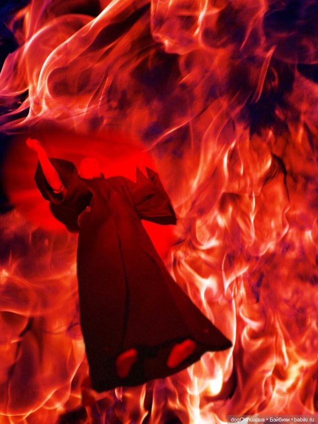 Приключения в школе монстров. Не зовите духов трижды. Часть 2