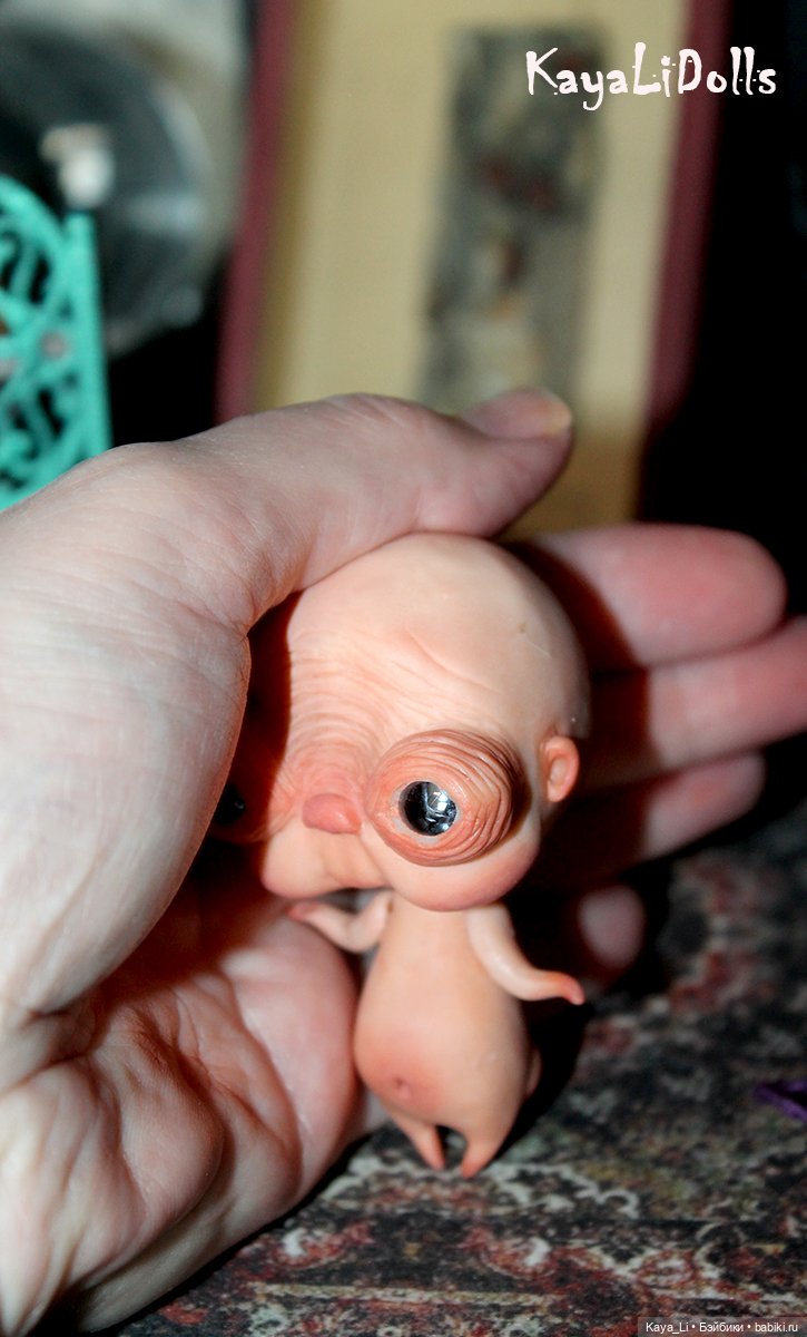 Любимчик Пончик — Игрушки в смешанной технике (мех и глина): Арт (фото 6)