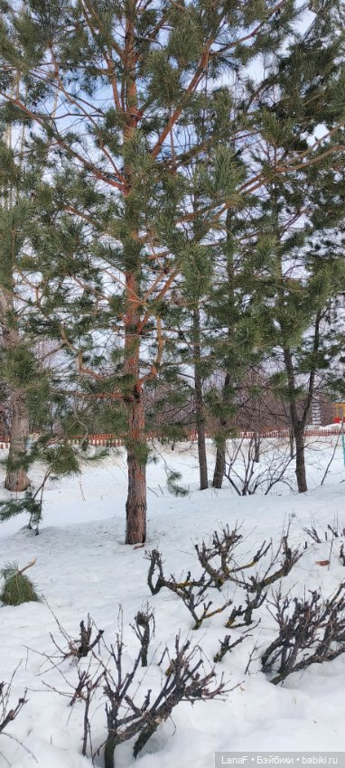 Малышка Виктория🩷, мини Реборн от Инны Богдановой