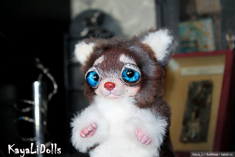 Чихуашка Чуня — Игрушки в смешанной технике (мех и глина): Арт (фото 6)