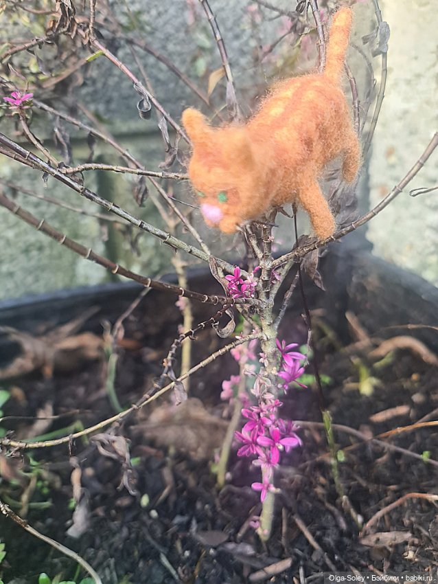 Весна. Коты прилетели — Коллекционные экшн (фото 4)