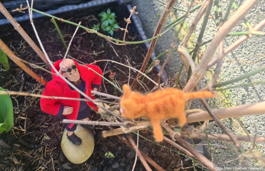 Весна. Коты прилетели — Коллекционные экшн