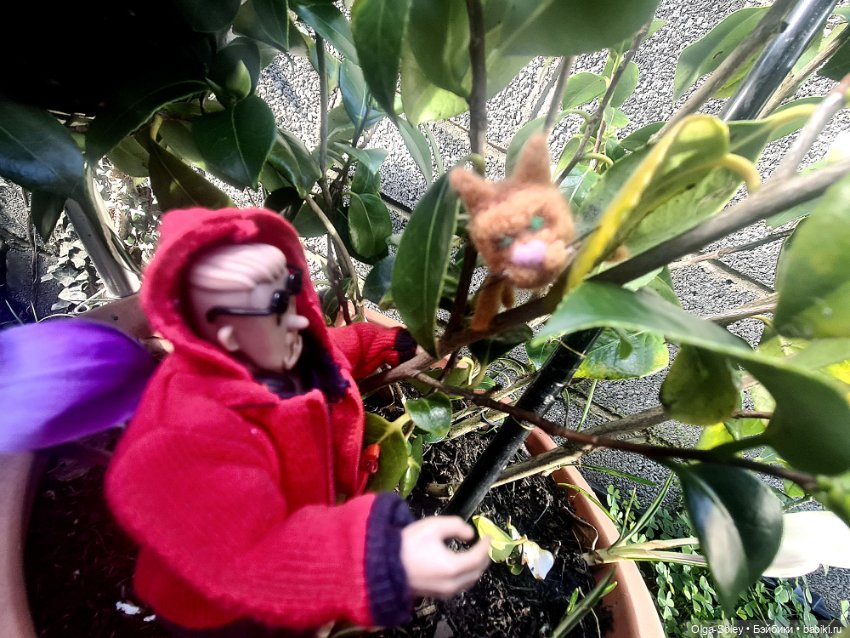 Весна. Коты прилетели — Коллекционные экшн