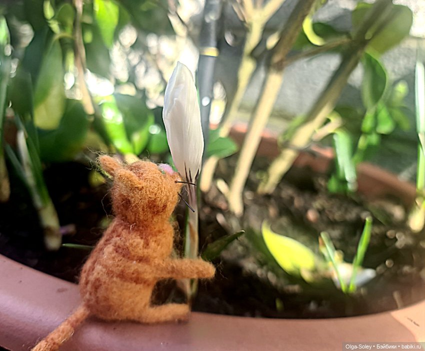 Весна. Коты прилетели — Коллекционные экшн (фото 7)