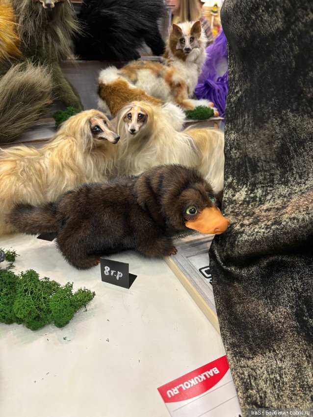 Весенняя Тишинка 2026 и сицилийцы🌷