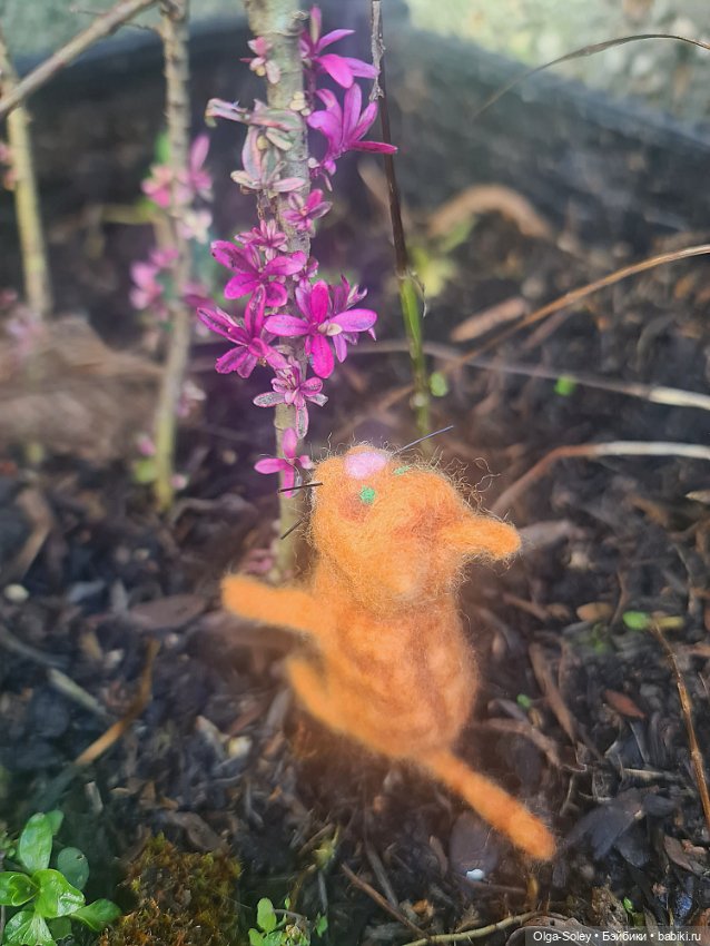 Весна. Коты прилетели — Коллекционные экшн (фото 3)