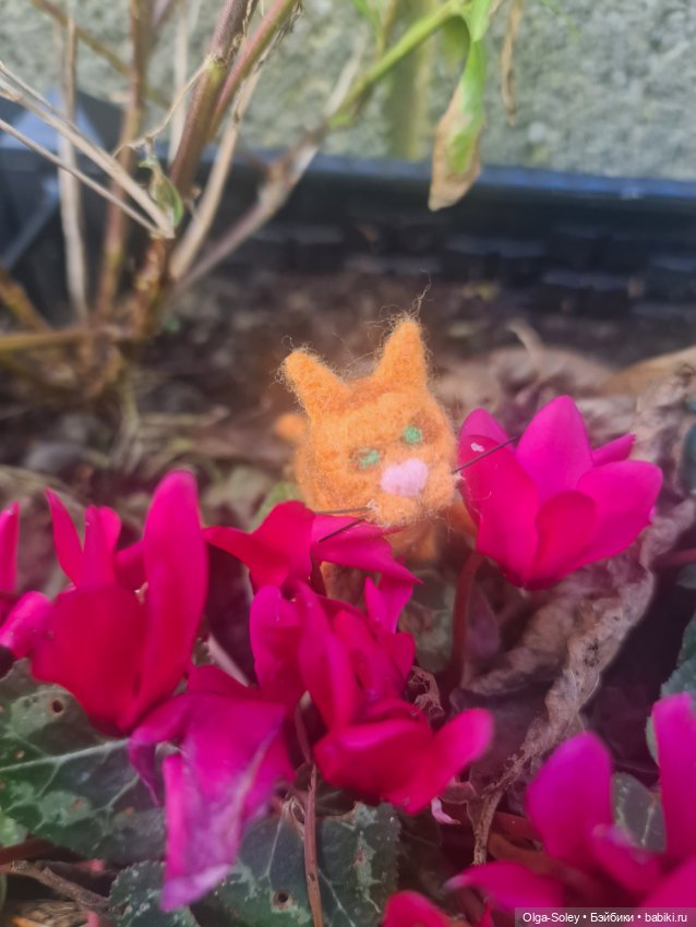 Весна. Коты прилетели — Коллекционные экшн