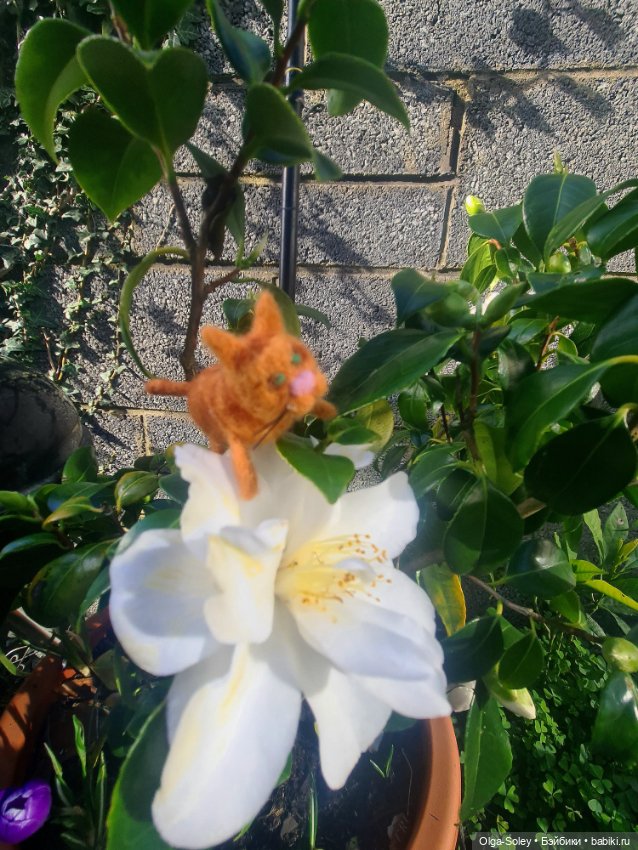 Весна. Коты прилетели — Коллекционные экшн (фото 6)