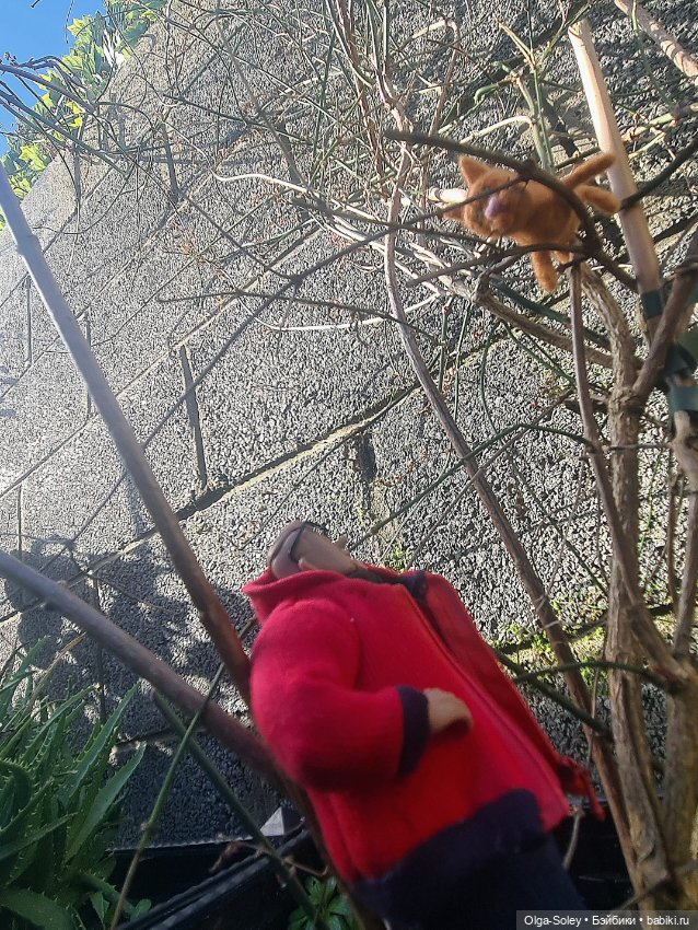 Весна. Коты прилетели — Коллекционные экшн