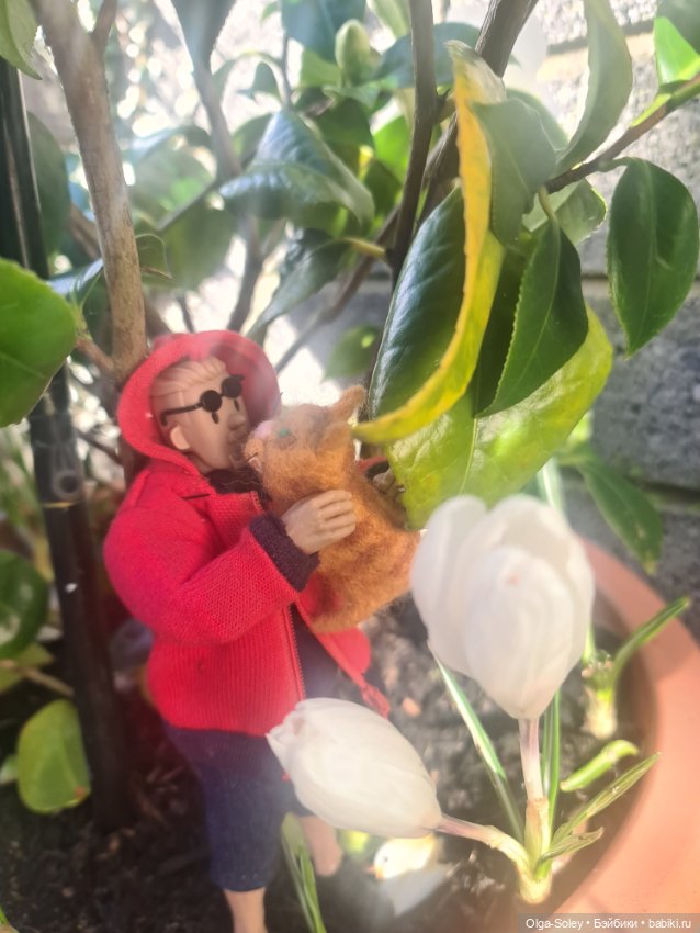 Весна. Коты прилетели — Коллекционные экшн