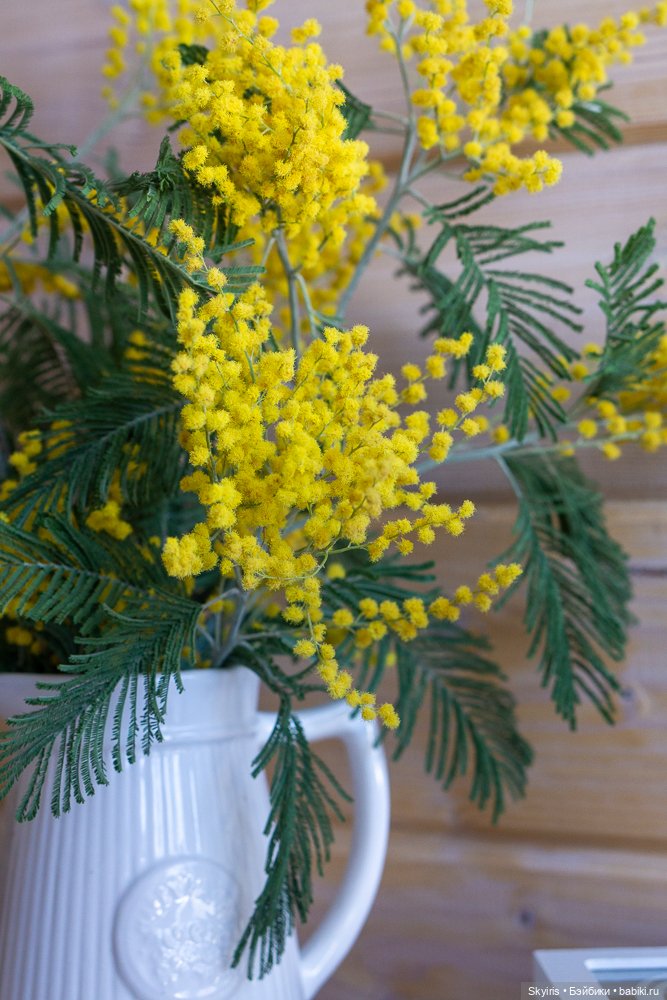 Милые Фасольки поздравляют с весной (фото 4)