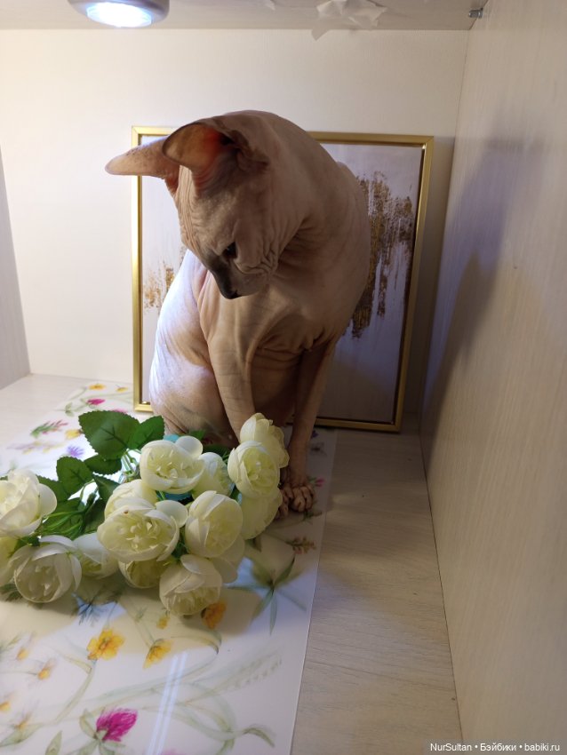 И меня тоже — Болталка и разговоры обо всем: жизнь