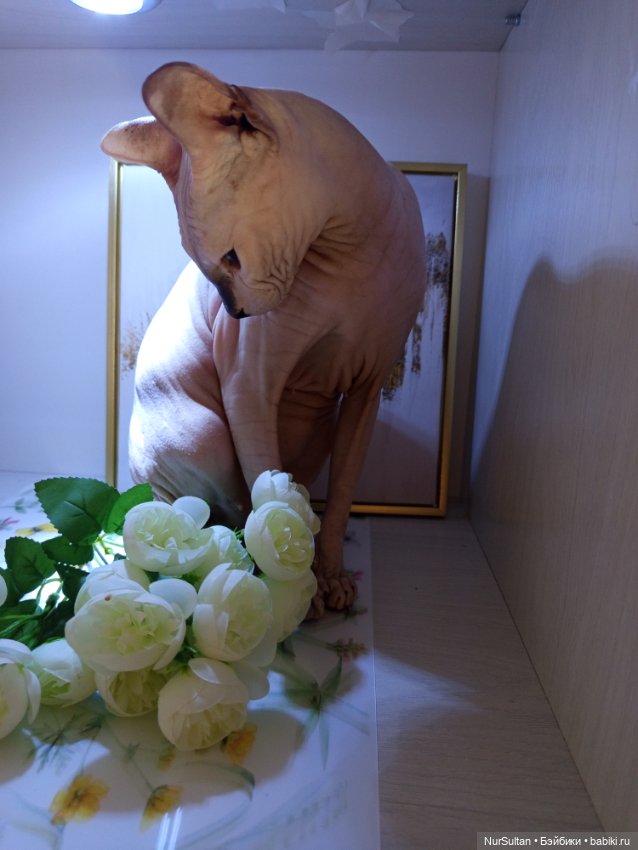 И меня тоже — Болталка и разговоры обо всем: жизнь (фото 2)