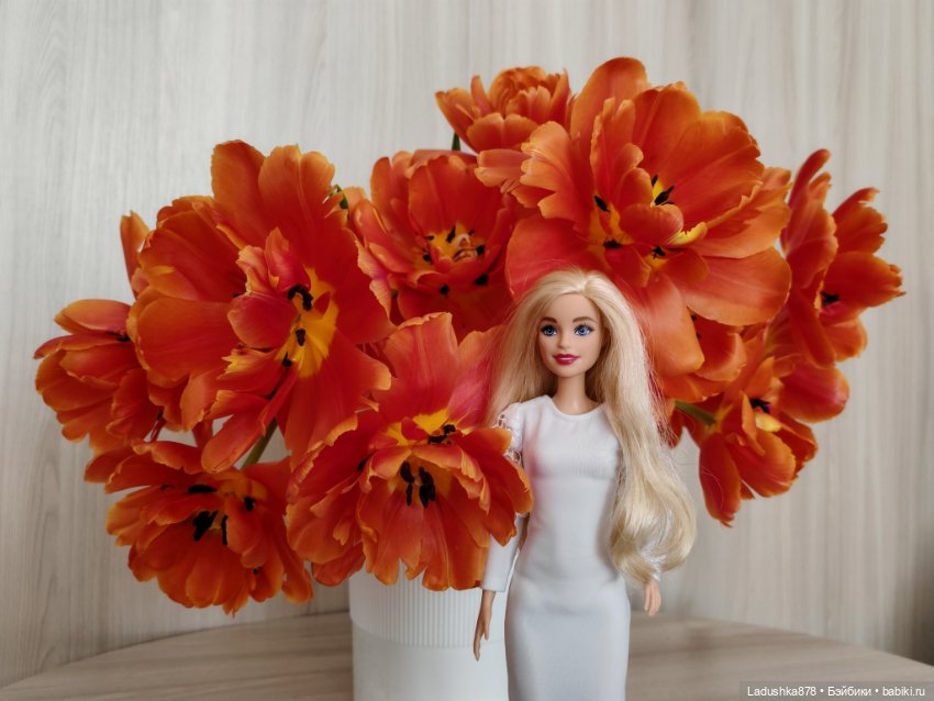 Девято-Мартовское — Куклы Barbie (Барби): Looks (фото 3)