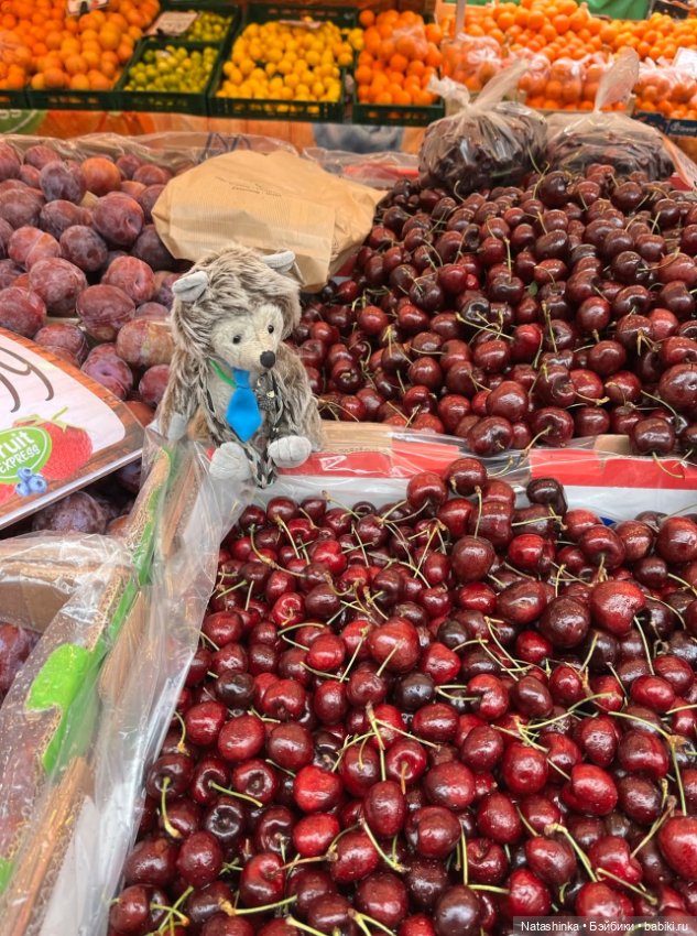 Музыкальная история 187 — Туризм и путешествия: фотоотчеты из поездок (фото 8)