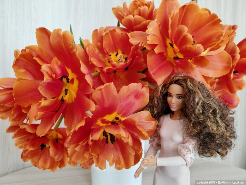 Девято-Мартовское — Куклы Barbie (Барби): Looks (фото 9)