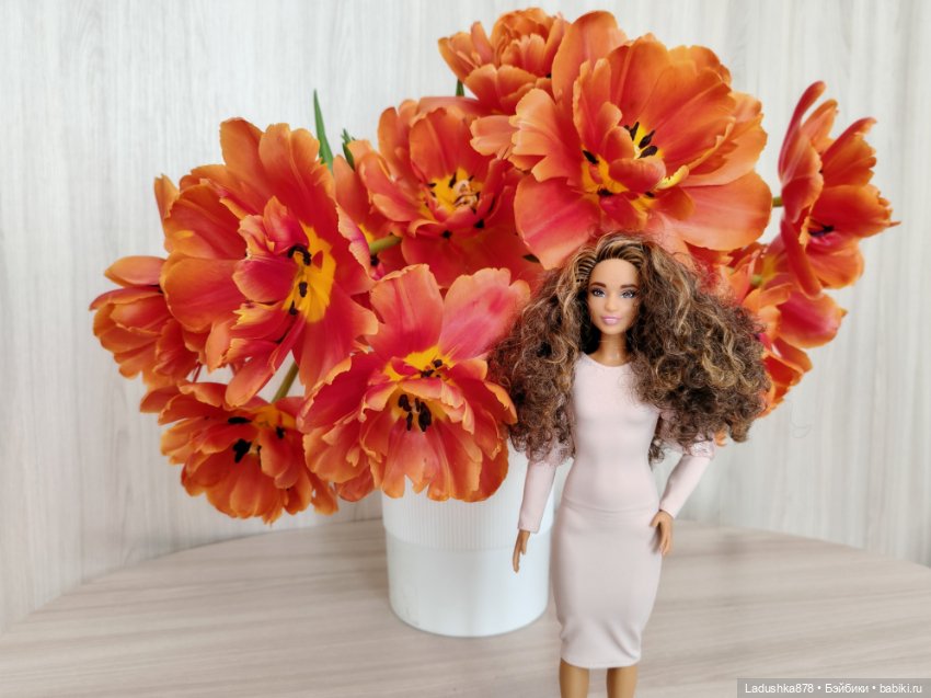 Девято-Мартовское — Куклы Barbie (Барби): Looks (фото 8)