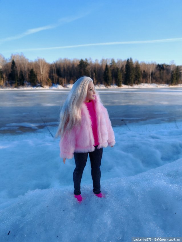 Виолетта в поисках весны — Куклы Barbie (Барби): Looks