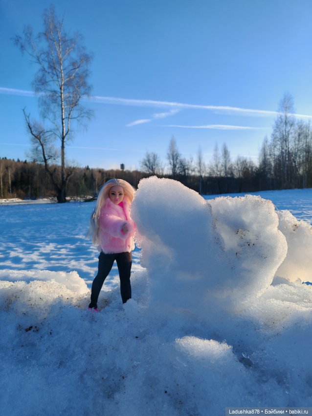 Виолетта в поисках весны — Куклы Barbie (Барби): Looks