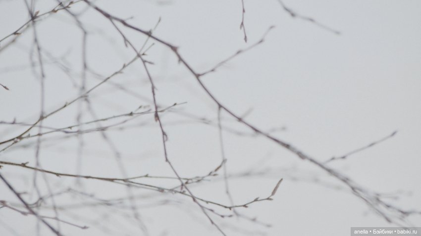 Зимняя прогулка — Куклы Gotz (Готц): Ханна