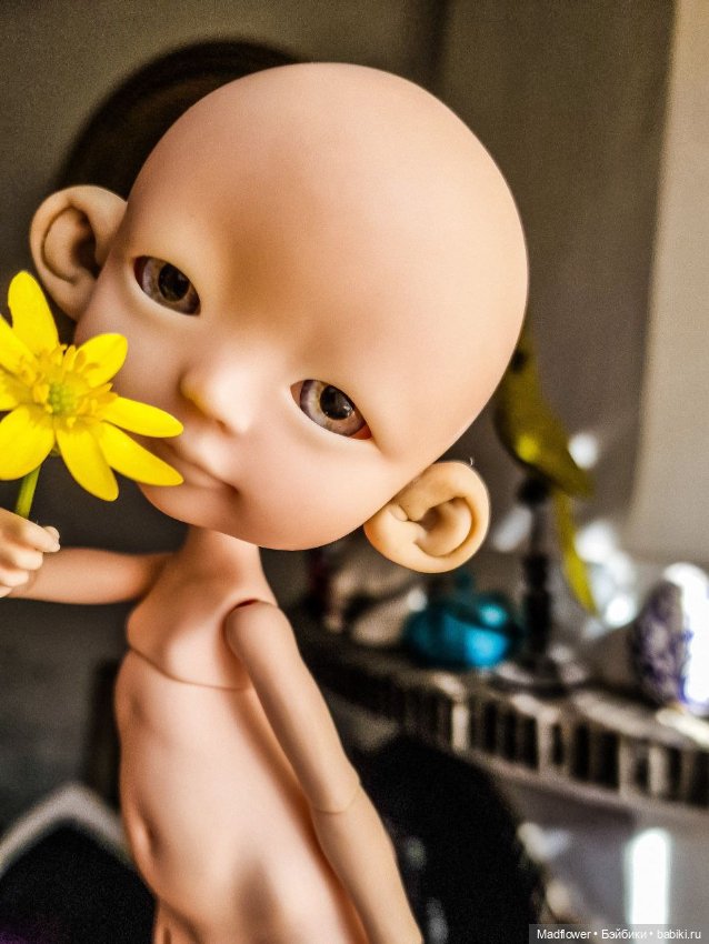 Buttercup от Nefer Kane — Куклы Circus Kane (Nefer Kane): французские BJD (БЖД)