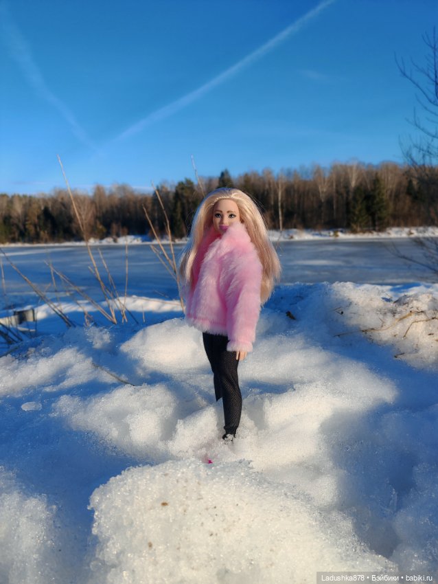 Виолетта в поисках весны — Куклы Barbie (Барби): Looks (фото 8)