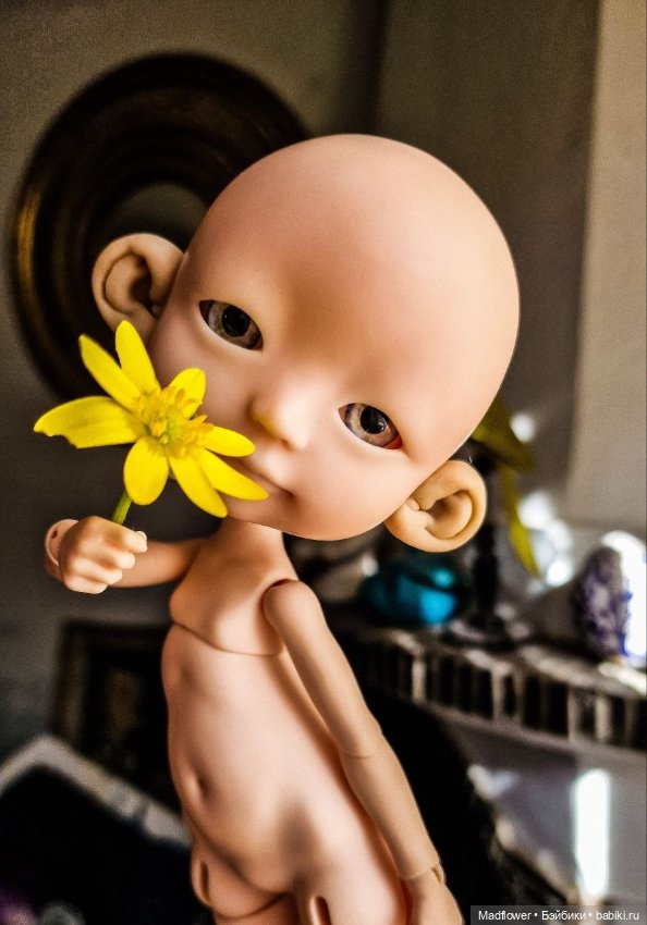 Buttercup от Nefer Kane — Куклы Circus Kane (Nefer Kane): французские BJD (БЖД)