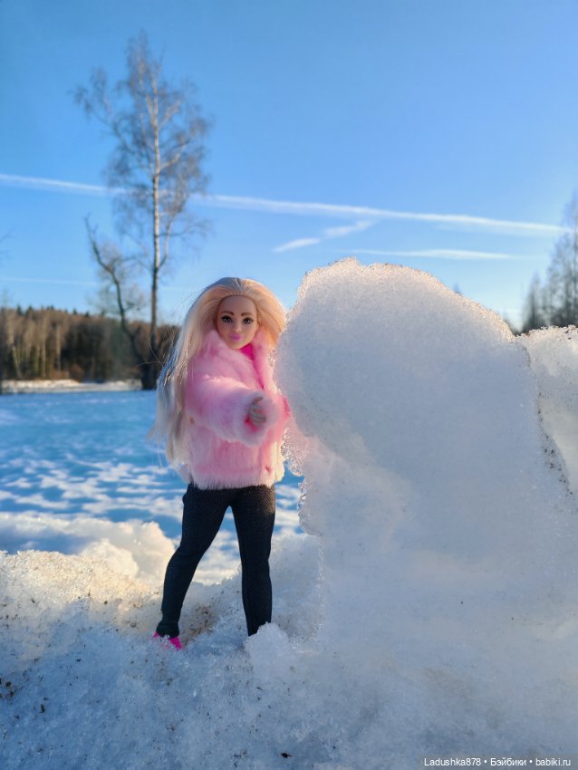 Виолетта в поисках весны — Куклы Barbie (Барби): Looks