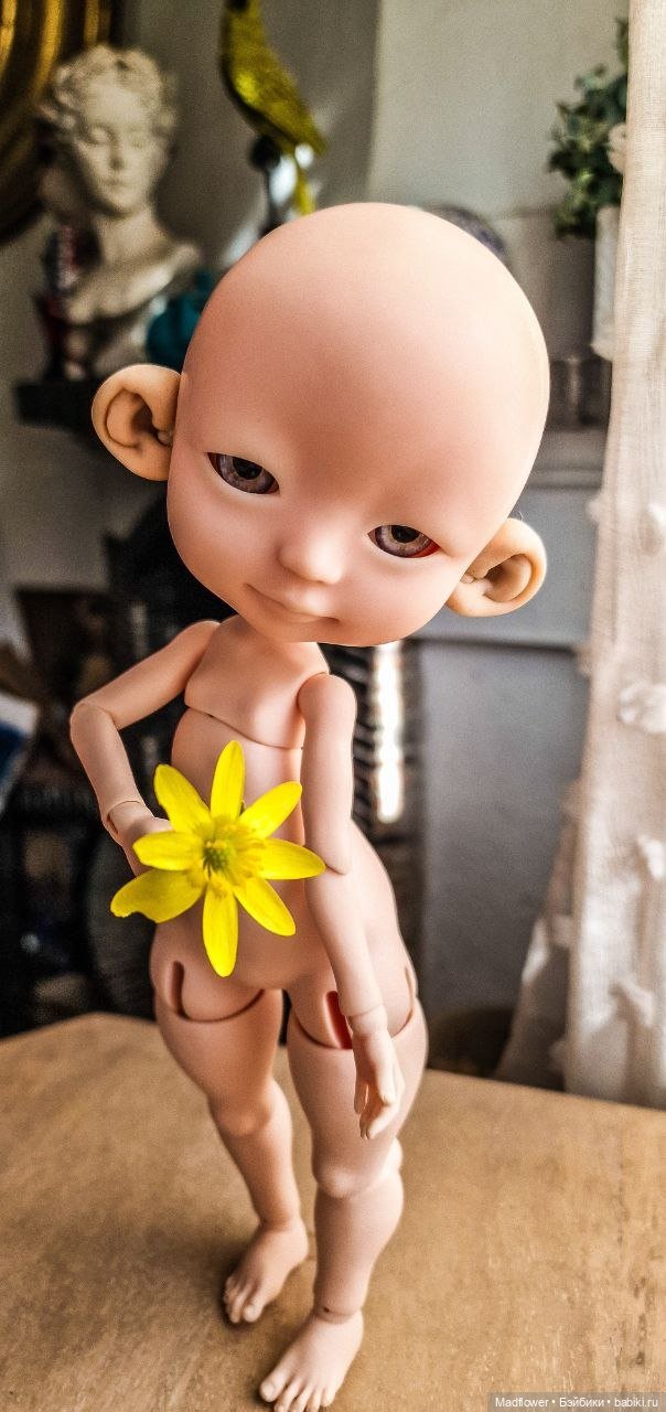 Buttercup от Nefer Kane — Куклы Circus Kane (Nefer Kane): французские BJD (БЖД)