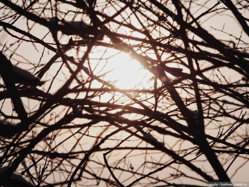 Зимняя прогулка — Куклы Gotz (Готц): Ханна (фото 5)