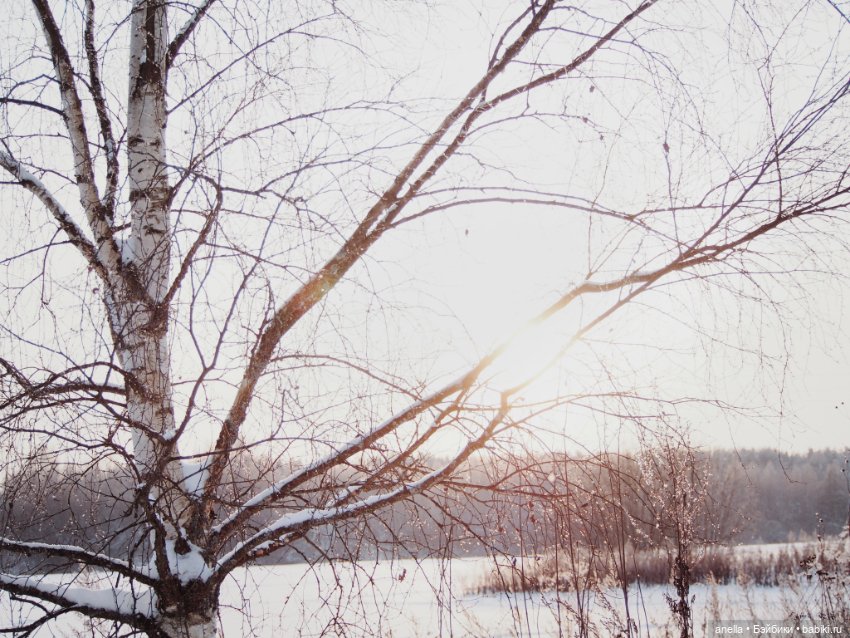 Зимняя прогулка — Куклы Gotz (Готц): Ханна