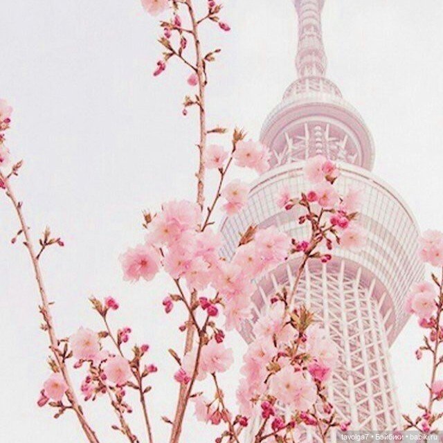 Весна, Сеул, Ханбок — Культура