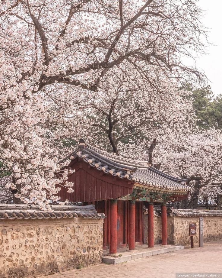 Весна, Сеул, Ханбок — Культура (фото 5)