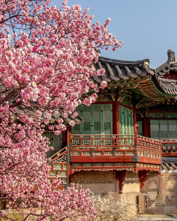 Весна, Сеул, Ханбок — Культура (фото 4)