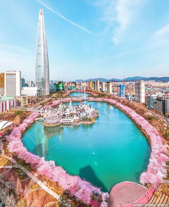 Весна, Сеул, Ханбок — Культура (фото 3)