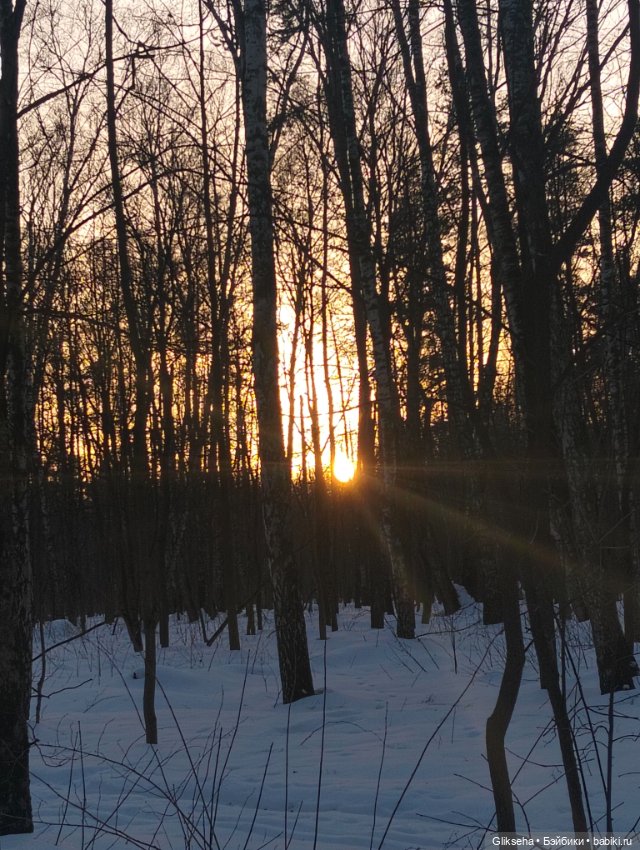 Моксик Джек и предчувствие весны (фото 9)