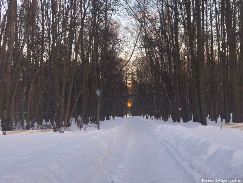 Моксик Джек и предчувствие весны (фото 10)