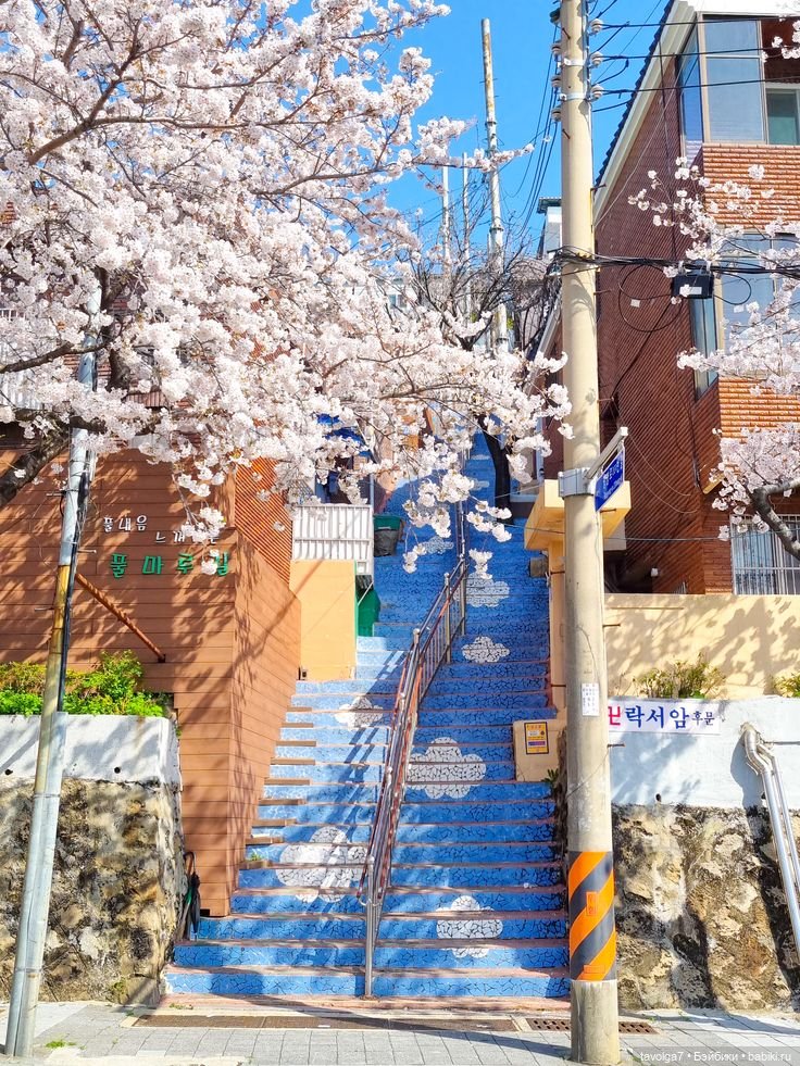 Весна, Сеул, Ханбок — Культура (фото 8)