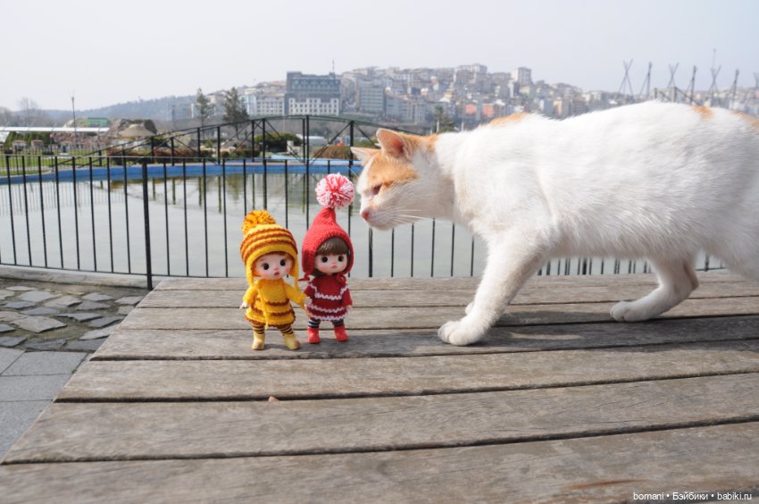 Миниатюрк — Куклы и тела Obitsu 11 (Ob11): гибриды