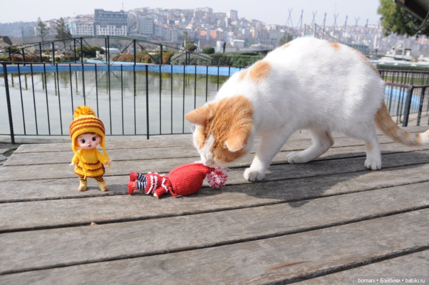 Миниатюрк — Куклы и тела Obitsu 11 (Ob11): гибриды