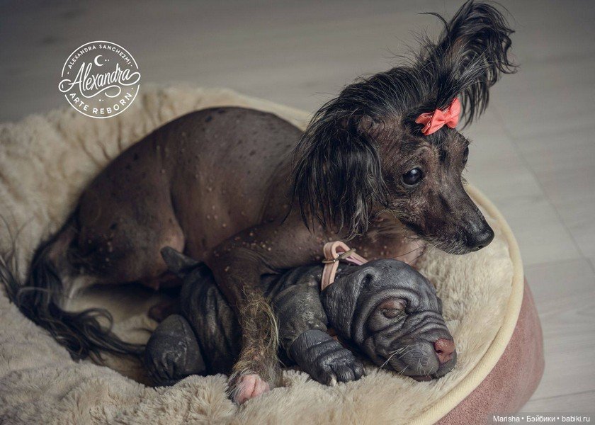 Сердце не видит отличий: трогательная история трех щенков-реборнов от Alexia Sanchez (фото 10)