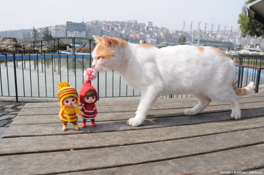 Миниатюрк — Куклы и тела Obitsu 11 (Ob11): гибриды