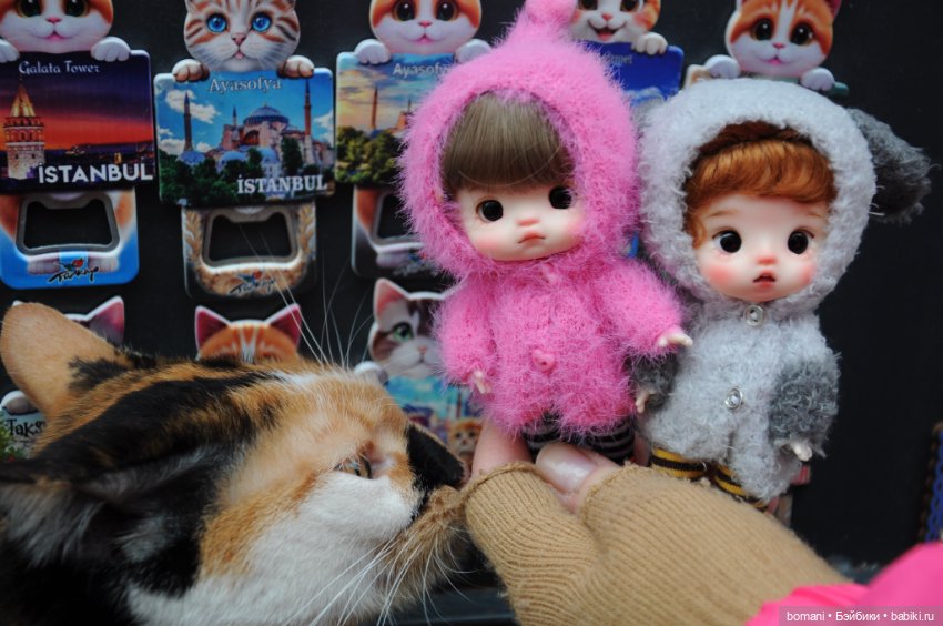 Увидеть Стамбул... и захотеть вернуться (фото 2)