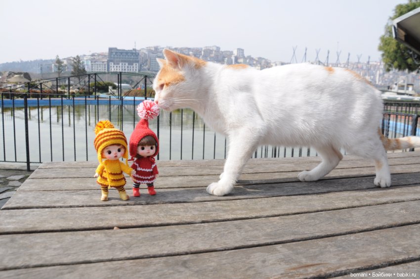 Миниатюрк — Куклы и тела Obitsu 11 (Ob11): гибриды