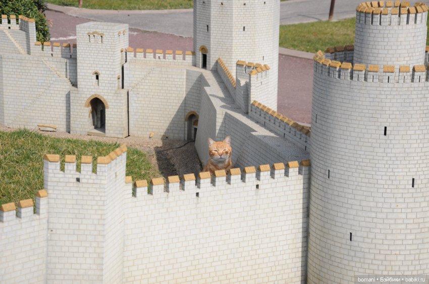 Миниатюрк — Куклы и тела Obitsu 11 (Ob11): гибриды