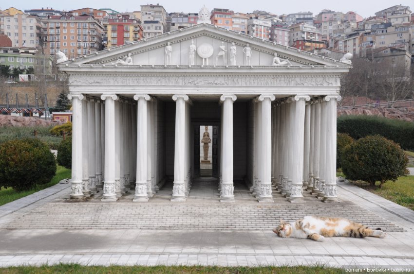 Миниатюрк — Куклы и тела Obitsu 11 (Ob11): гибриды